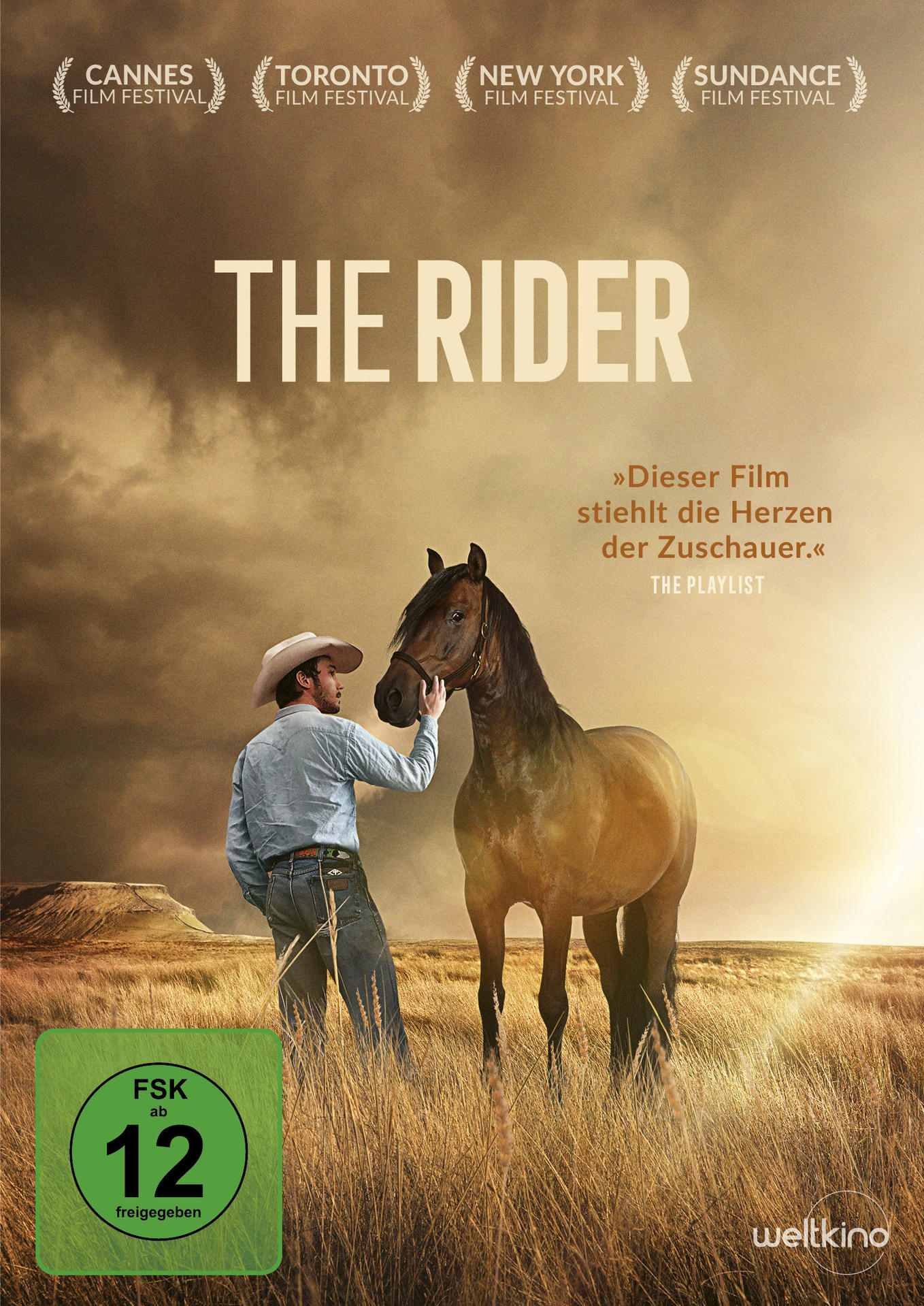 Filmplakat: Mann und Pferd auf einem Feld. Der Text lautet 'The Rider'. Der Himmel ist bewölkt.