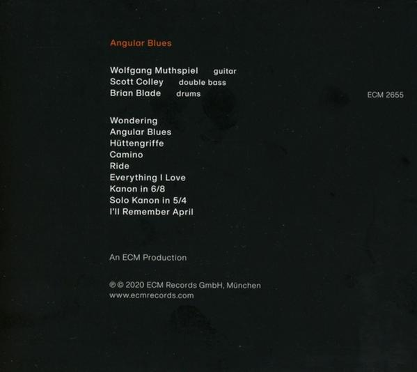 Scott Colley, Brian Blade - Angular Blues  - (CD)