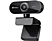 SANDBERG Webcam Flex 1080P HD Zwart (133-97)