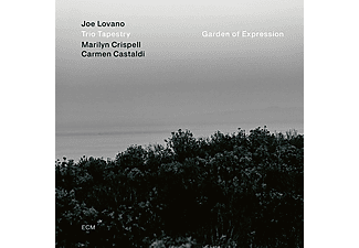 Joe Lovano - Garden Of Expression (Vinyl LP (nagylemez))