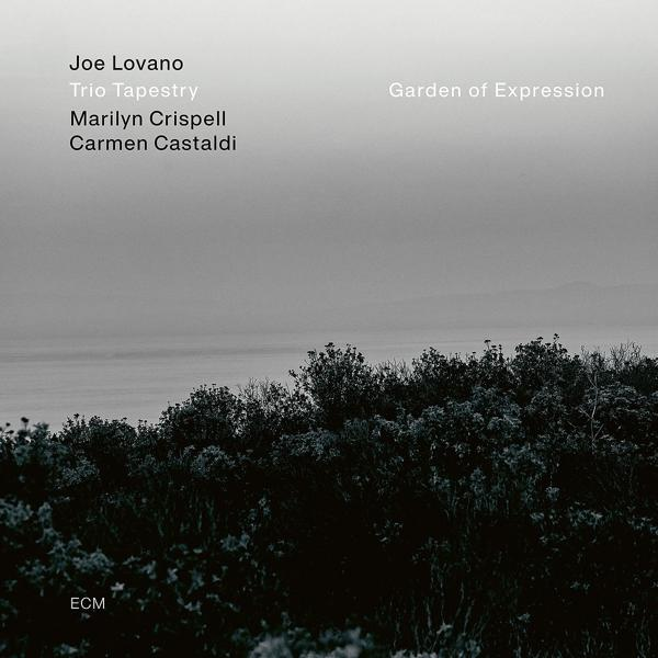 Fekete-fehér albumborító tájképpel és szöveggel. Művészek nevei és a Garden of Expression album címe.
