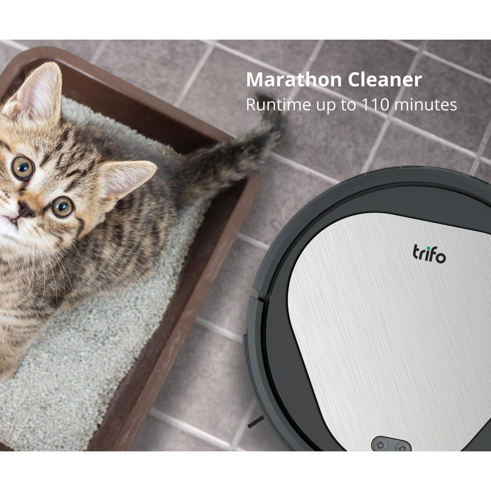 Ein Roboter-Staubsauger reinigt den Boden, eine Katze in der Nähe.