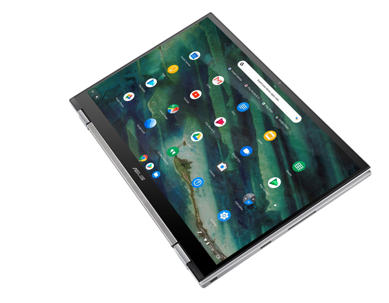 ASUS Chromebook Flip (C436FA-E10127)