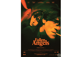 Fallen Angels | DVD