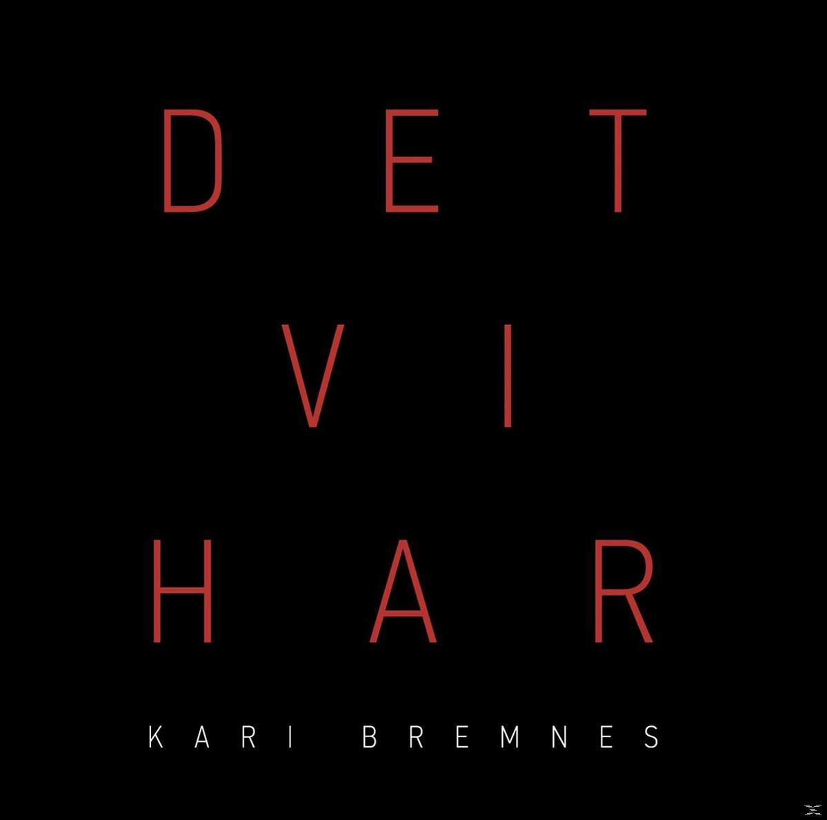 Kari Bremnes - Det vi har  - (CD)
