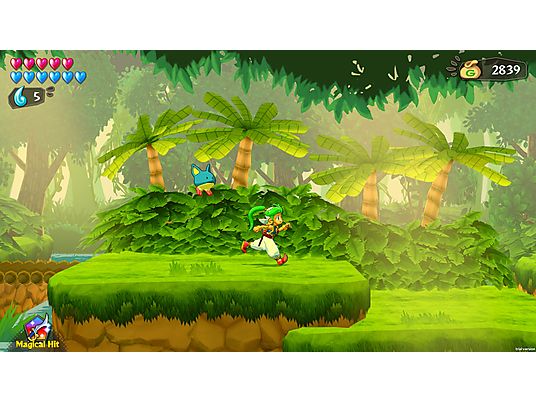 Wonder Boy: Asha in Monster World - Nintendo Switch - Allemand