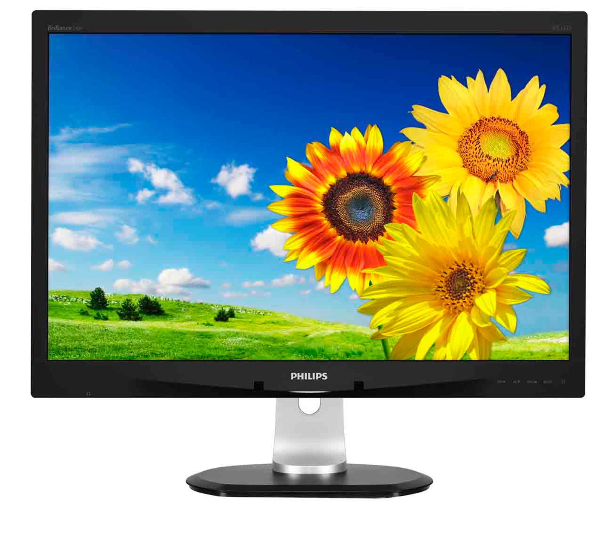 PHILIPS 240P4QPYEB/00 24 inç W LED (DVI+DP+4 x USB+VGA) Full HD IPS LCD Monitör