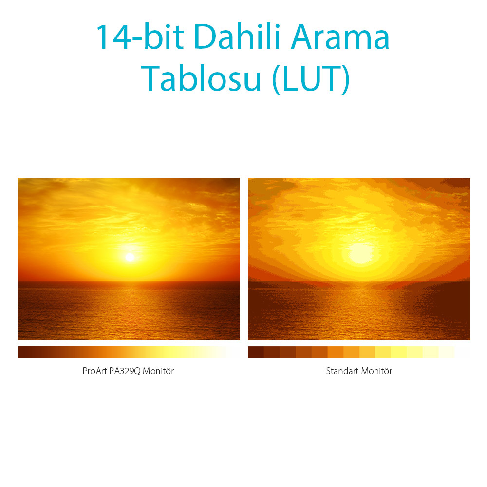 ASUS 32.0 Asus Pa329Q 5Ms 3840X2160 4Hmdı Dp Mınıdp Usb Monıtor