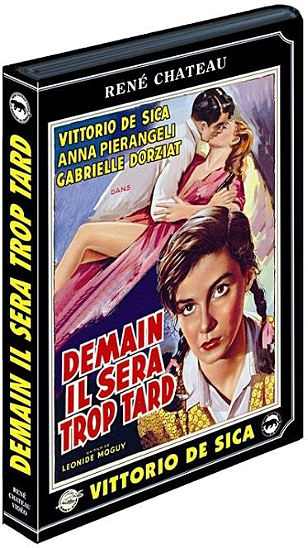 Couverture de DVD avec une femme et un homme s'embrassant. Le titre est en français.