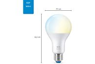 WIZ Slimme LED-Verlichting Peer Wit Licht E27 100W