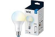 WIZ Slimme LED-Verlichting Peer Wit Licht E27 100W