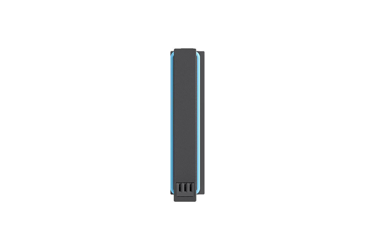 INSTA360 ONE X2 851812, Akku, Grau