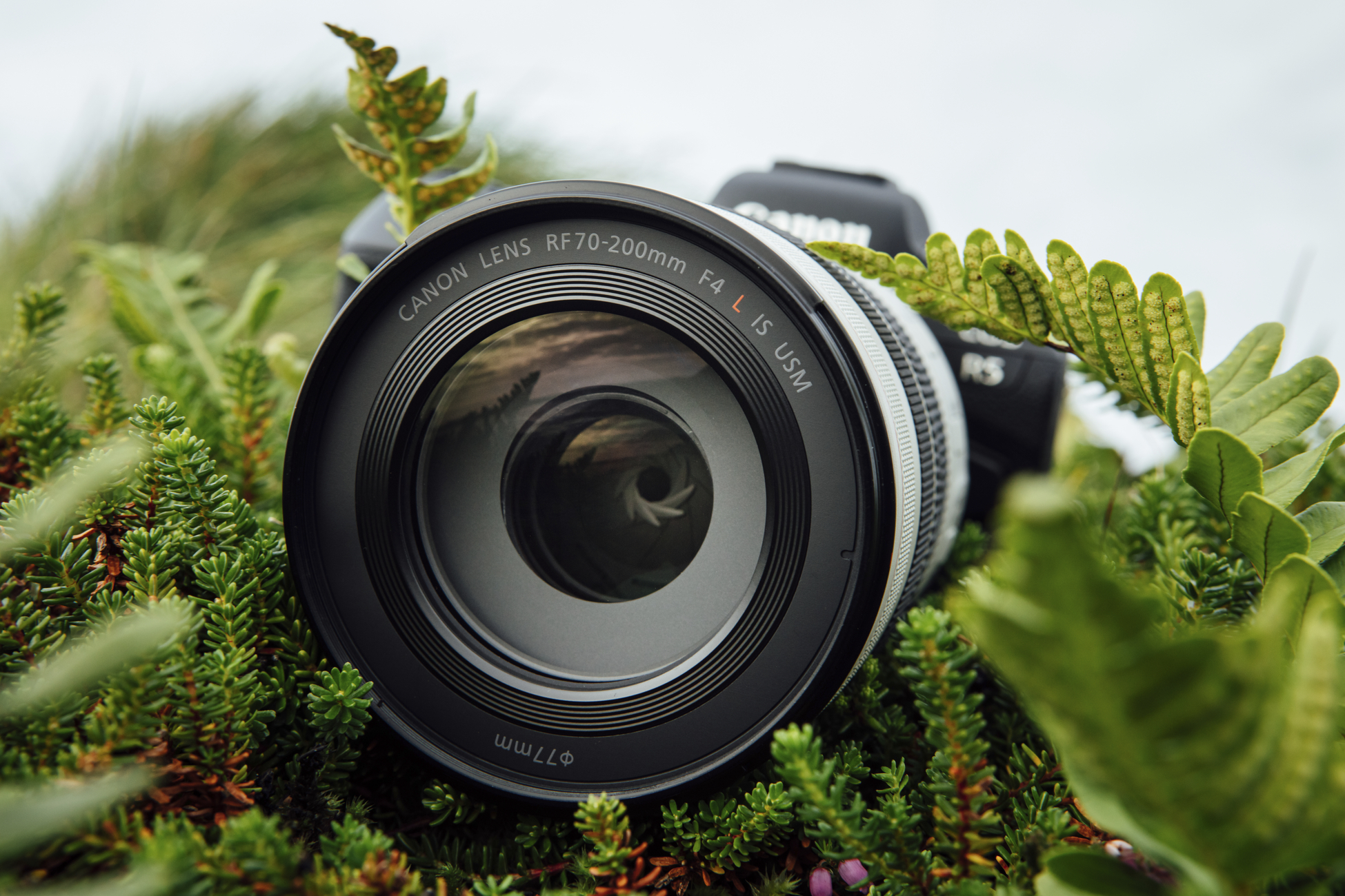 Canon Kameraobjektiv, umgeben von grünen Pflanzen, auf weißem Hintergrund.