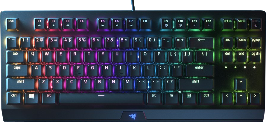 RAZER Gaming toetsenbord BlackWidow V3 Tenkeyless Green Switch AZERTY Black (RZ03-03490500-R3F1)