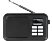 BLAUPUNKT RXD 60 - Digitalradio (DAB+, Schwarz)