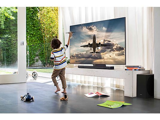 SAMSUNG QLED 4K 65Q95TC (2020)