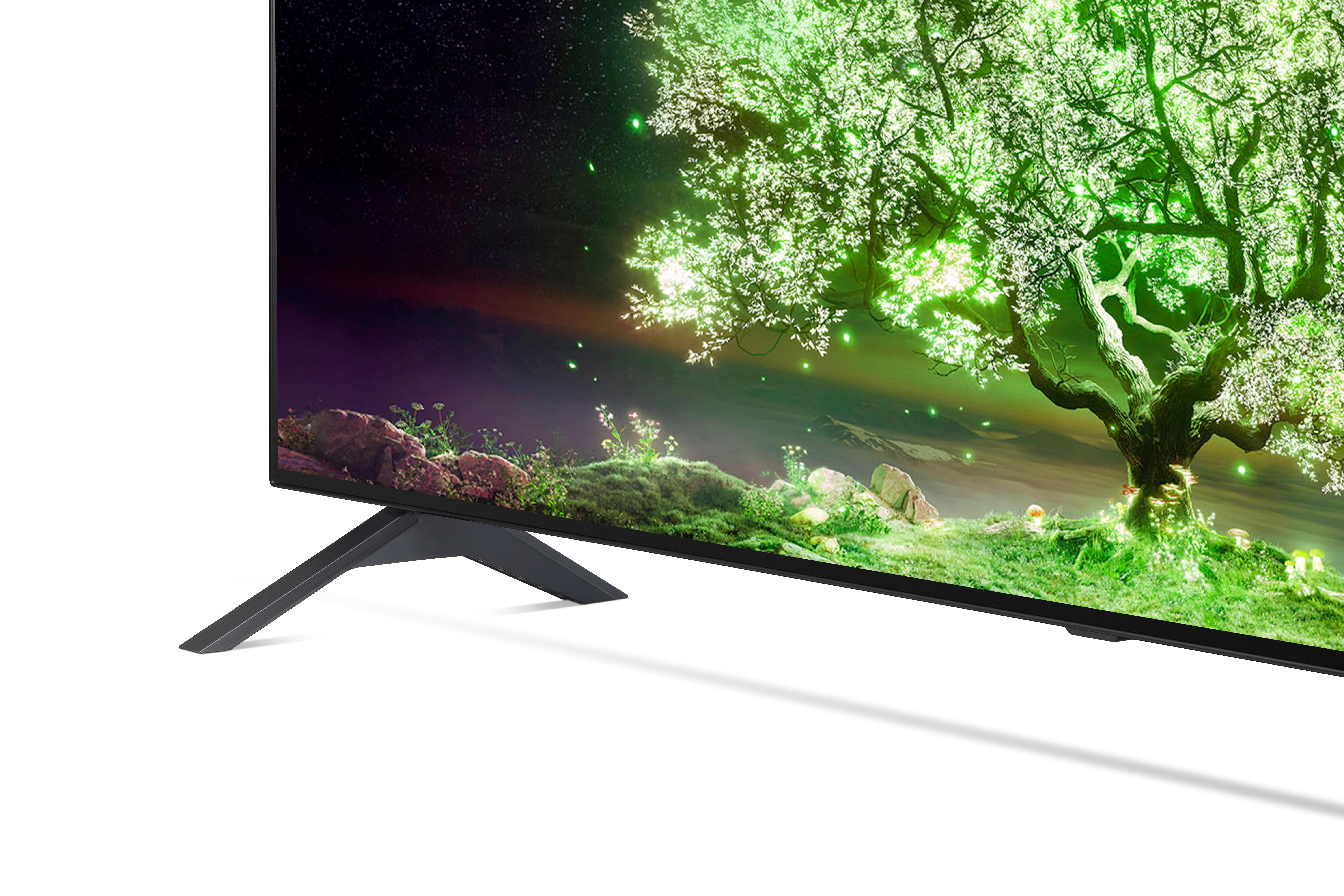 LG ELECTRONICS OLED55A19LA (2021) 55 Zoll 4K Smart OLED TV