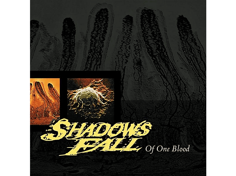 Shadows Fall | Of One Blood - (Vinyl) | MediaMarkt