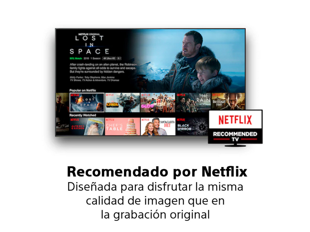 Pantalla de TV recomendada por Netflix mostrando un programa, con texto debajo.