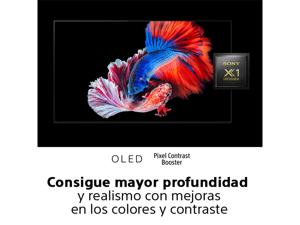 Pantalla de TV muestra un pez nadando.