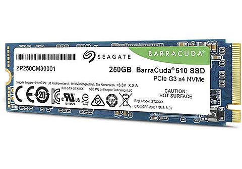 SEAGATE Interne SSD harde schijf 250 GB BarraCuda 510 M2. NVME (ZP250CM3A001)