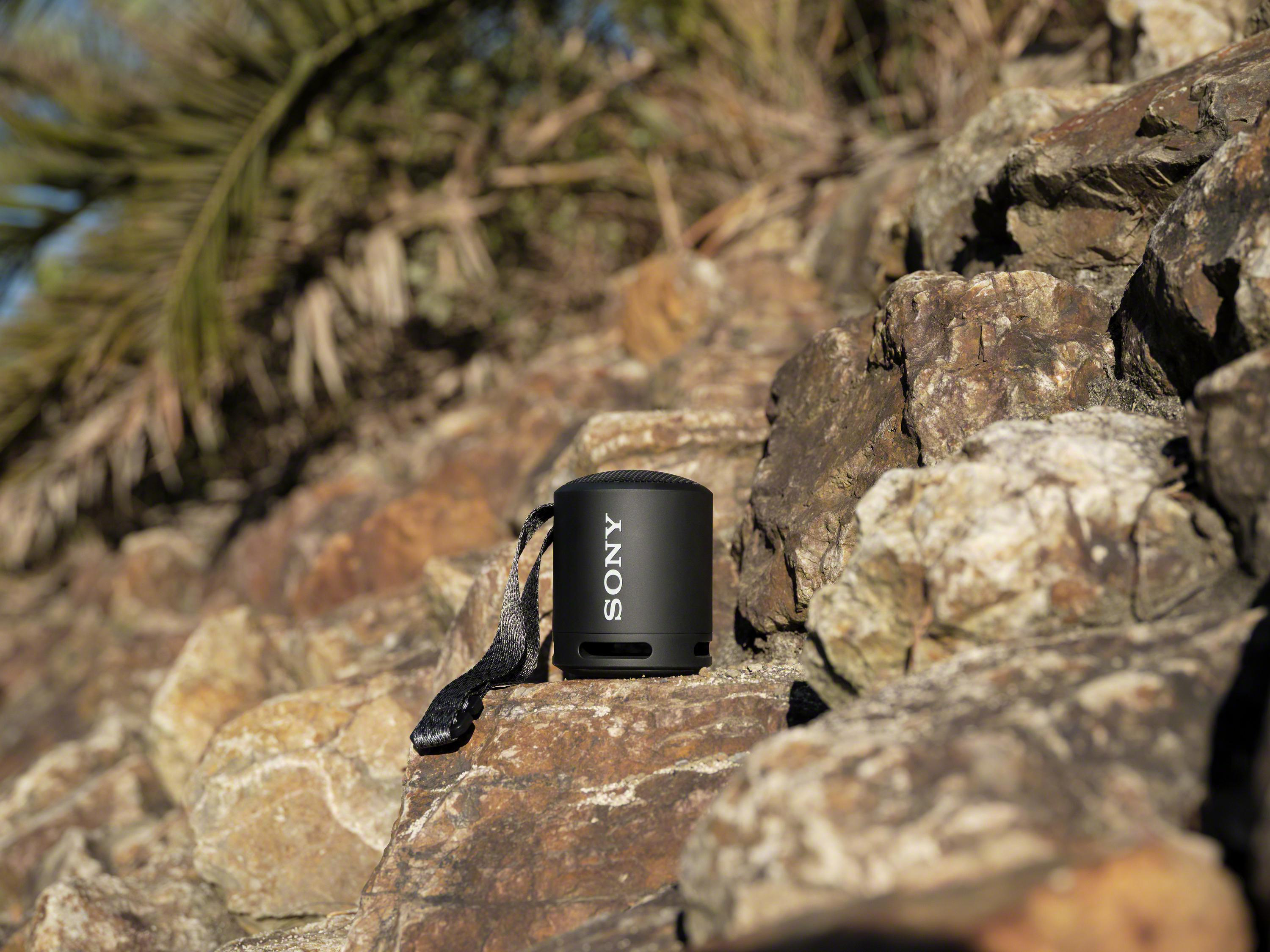 Ein schwarzer Sony-Lautsprecher liegt auf Felsen, mit einer Palmen im unscharfen Hintergrund.