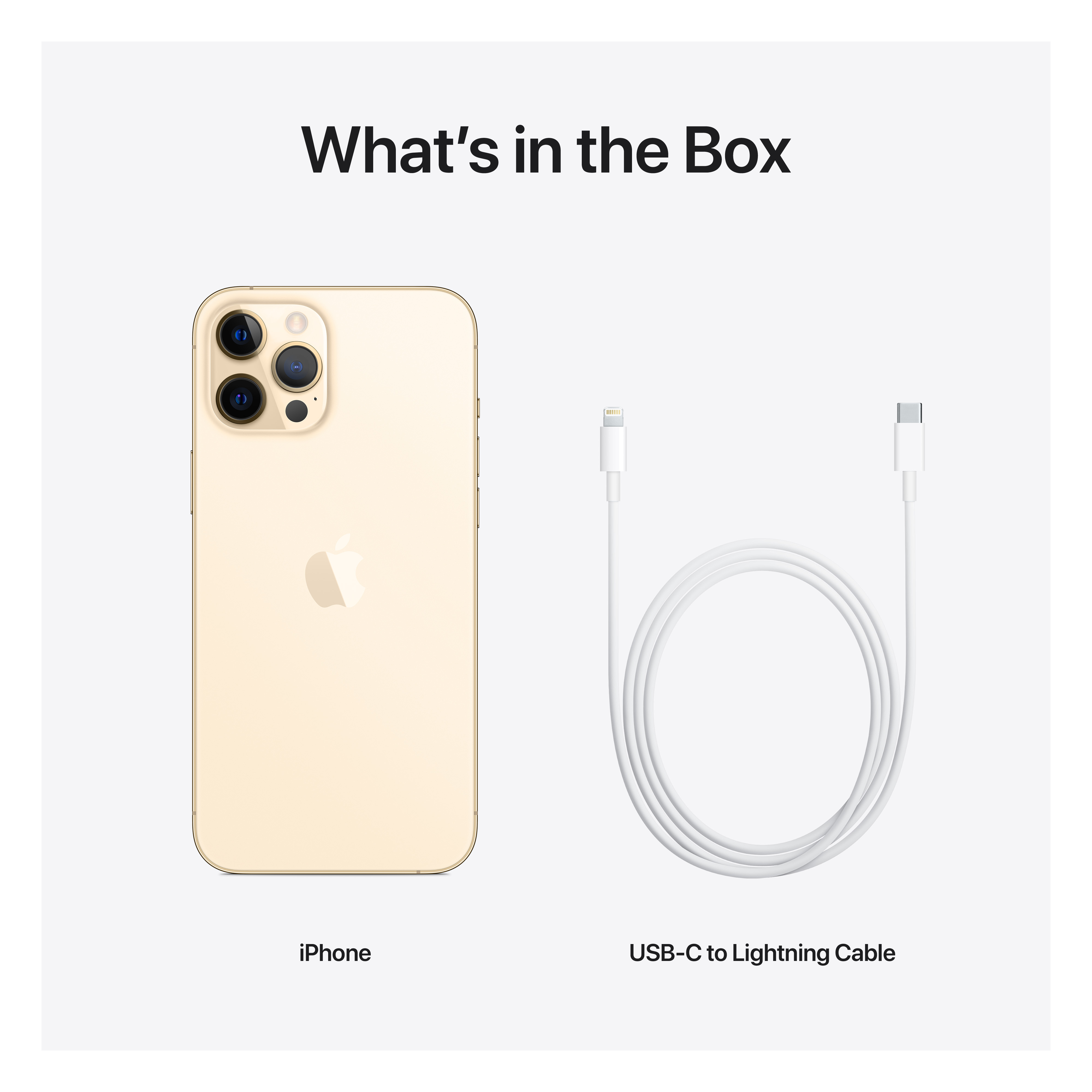 APPLE iPhone 12 Pro Max - Smartphone (6.7 ", 256 GB, Gold)