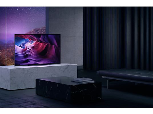 SONY OLED KE-48A9 (2020)