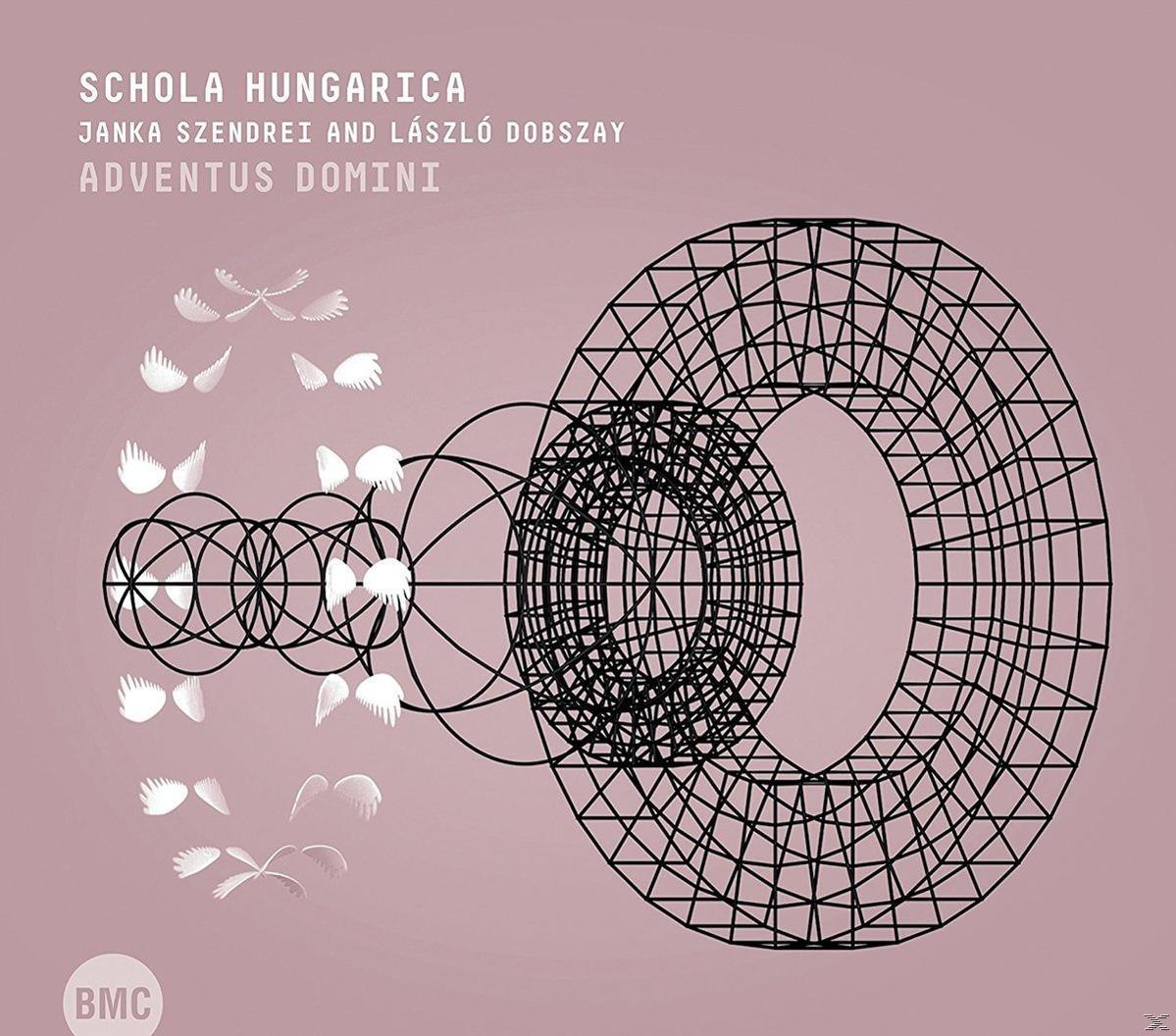 Absztrakt illusztráció egy geometriai struktúráról és szárny alakú formákról rózsaszín háttéren.
