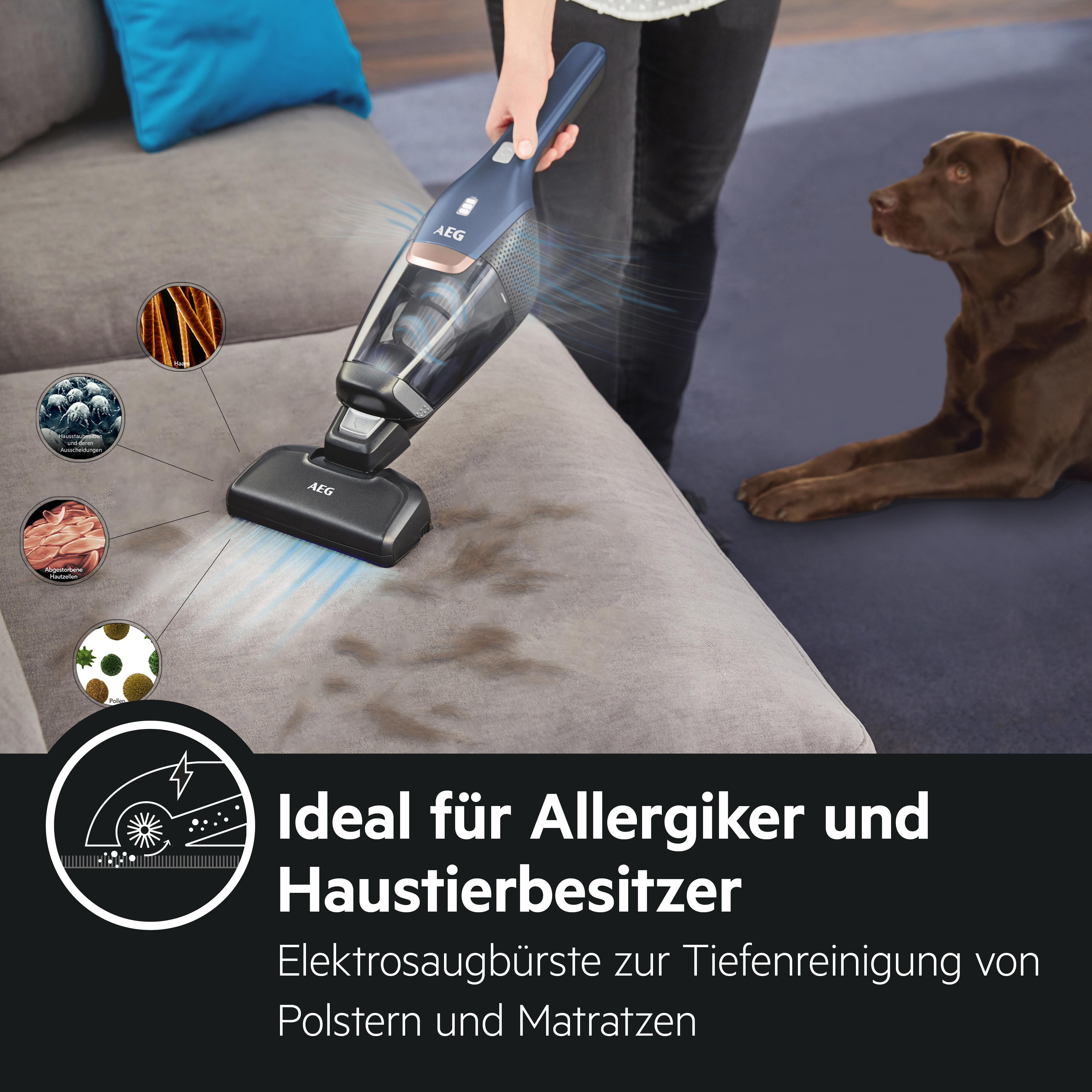 Ein Staubsauger reinigt ein Sofa. Ein brauner Hund ist im Hintergrund. Text: 'Ideal für Allergiker'.