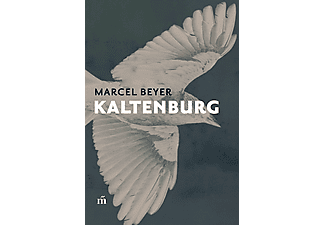 Marcel Beyer - Kaltenburg