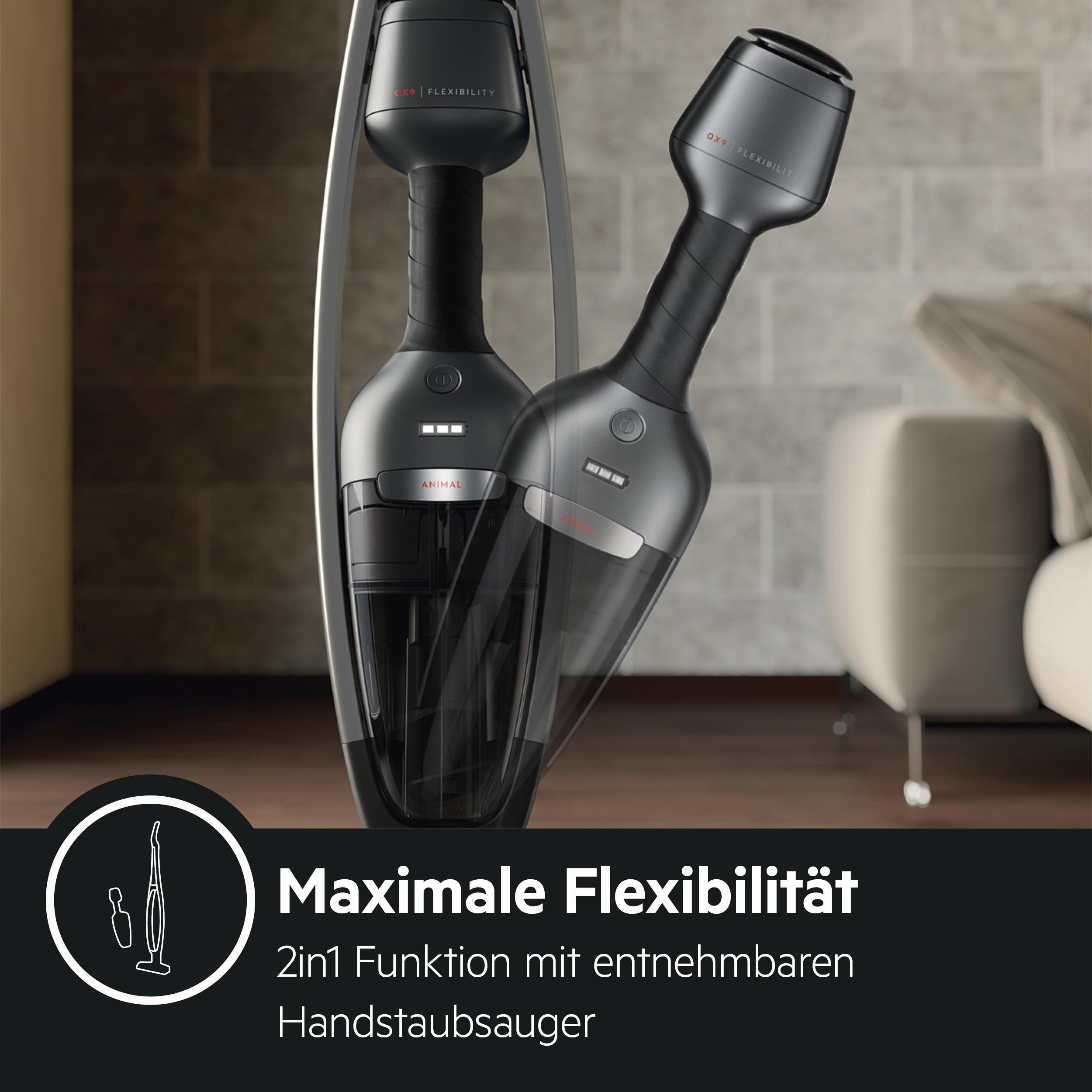 AEG QX9-1-ANIM Stielsauger, Akkubetrieb