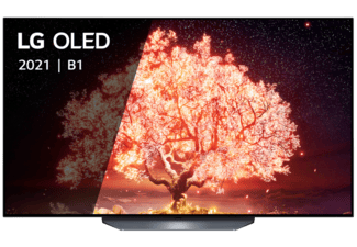 TV LG OLED 55 inch OLED55B16LA