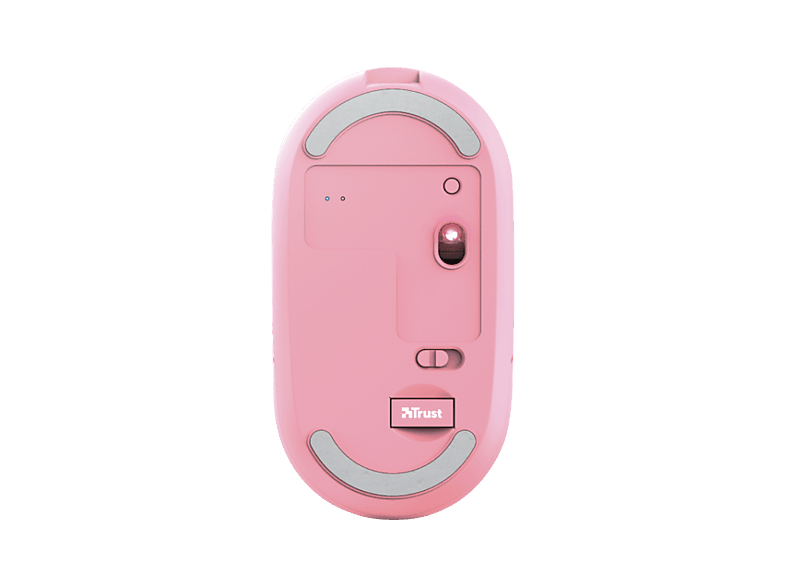 Vista 2