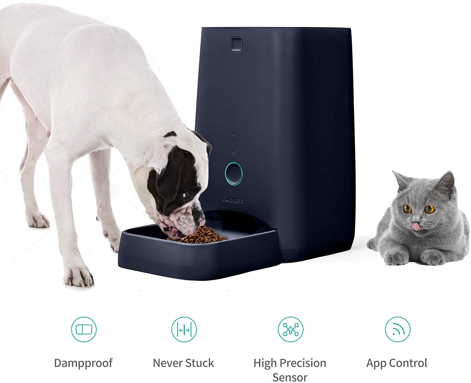 DOGNESS F03DB App Feeder Futterspender