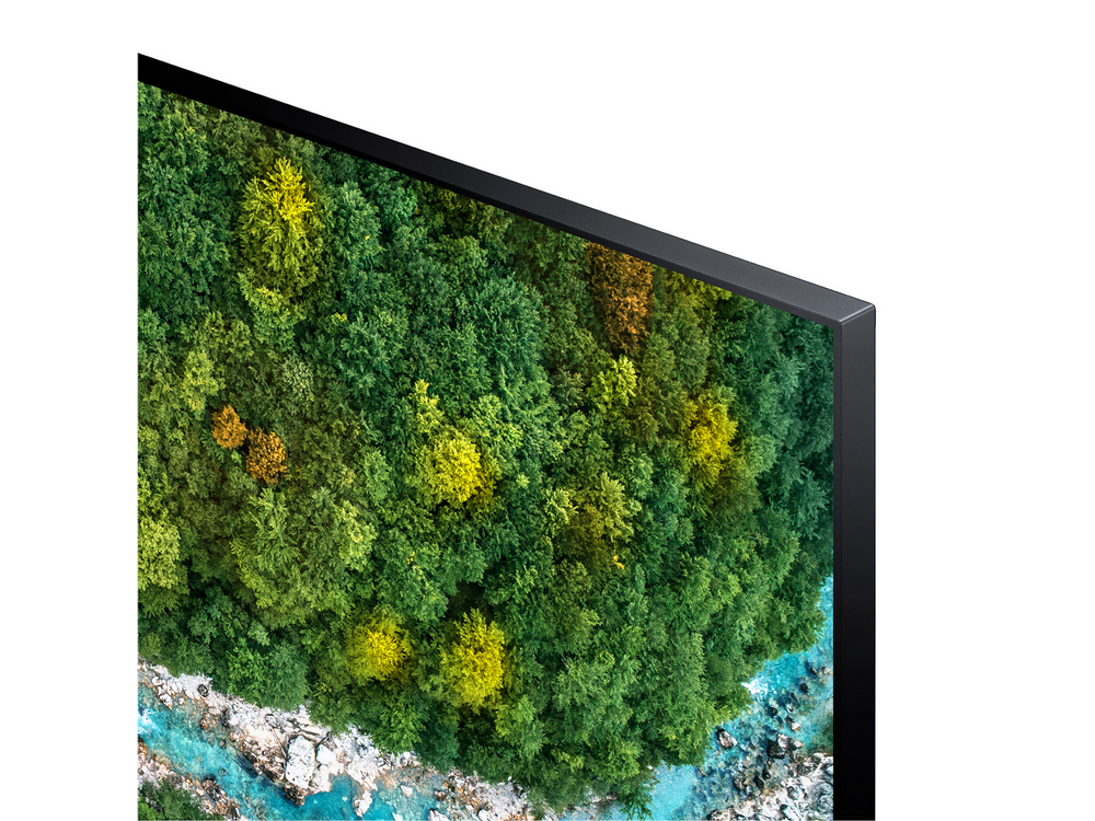 Parte de una pantalla de TV que muestra un bosque y agua desde arriba.