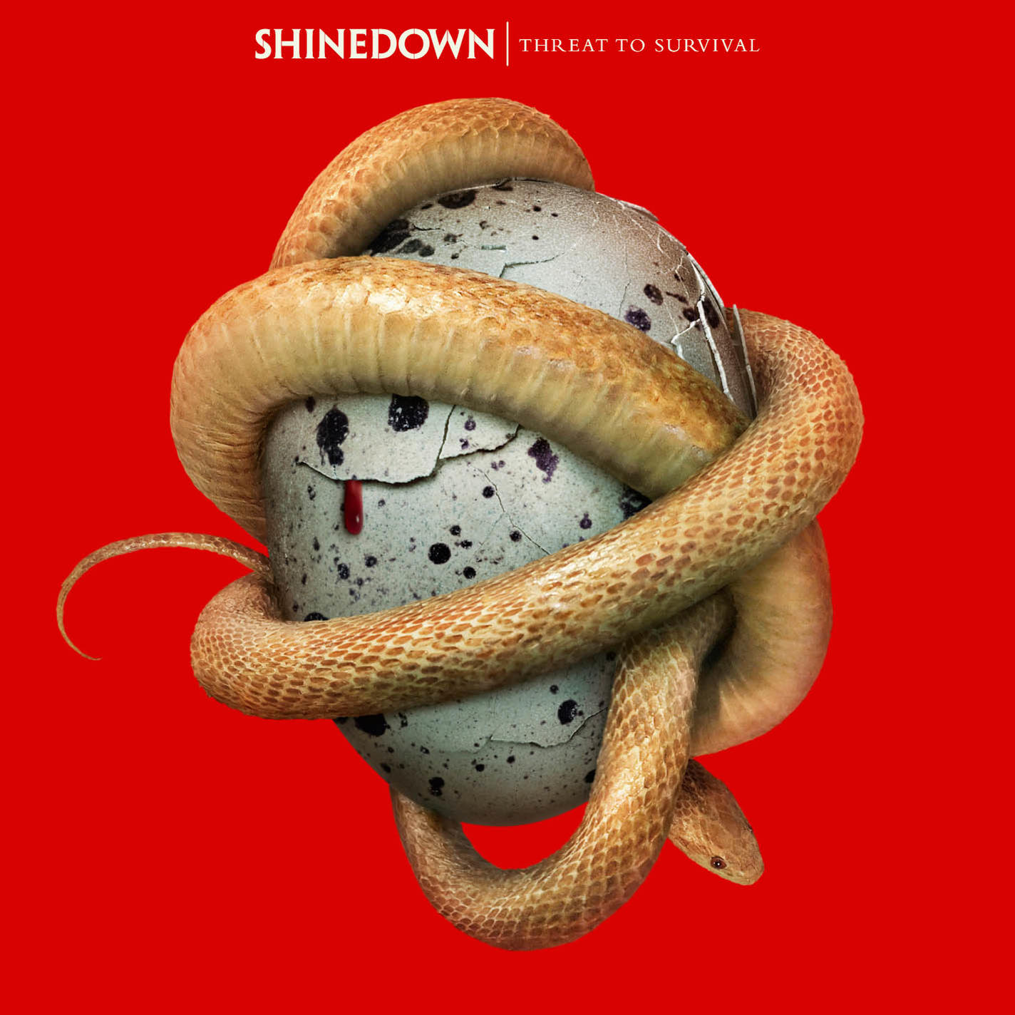 Pochette de l'album Shinedown avec un serpent enroulé autour d'un œuf fissuré sur fond rouge. L'œuf a du sang.