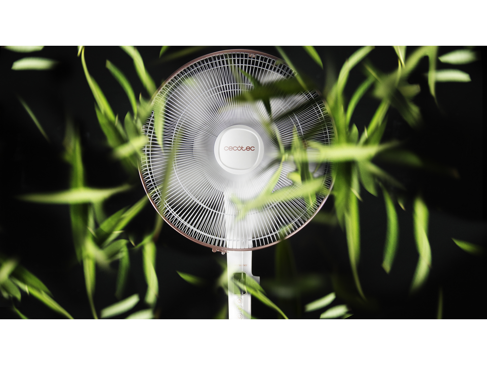 Ventilador blanco con hojas verdes delante. Diseño circular del ventilador, borde dorado rosa.