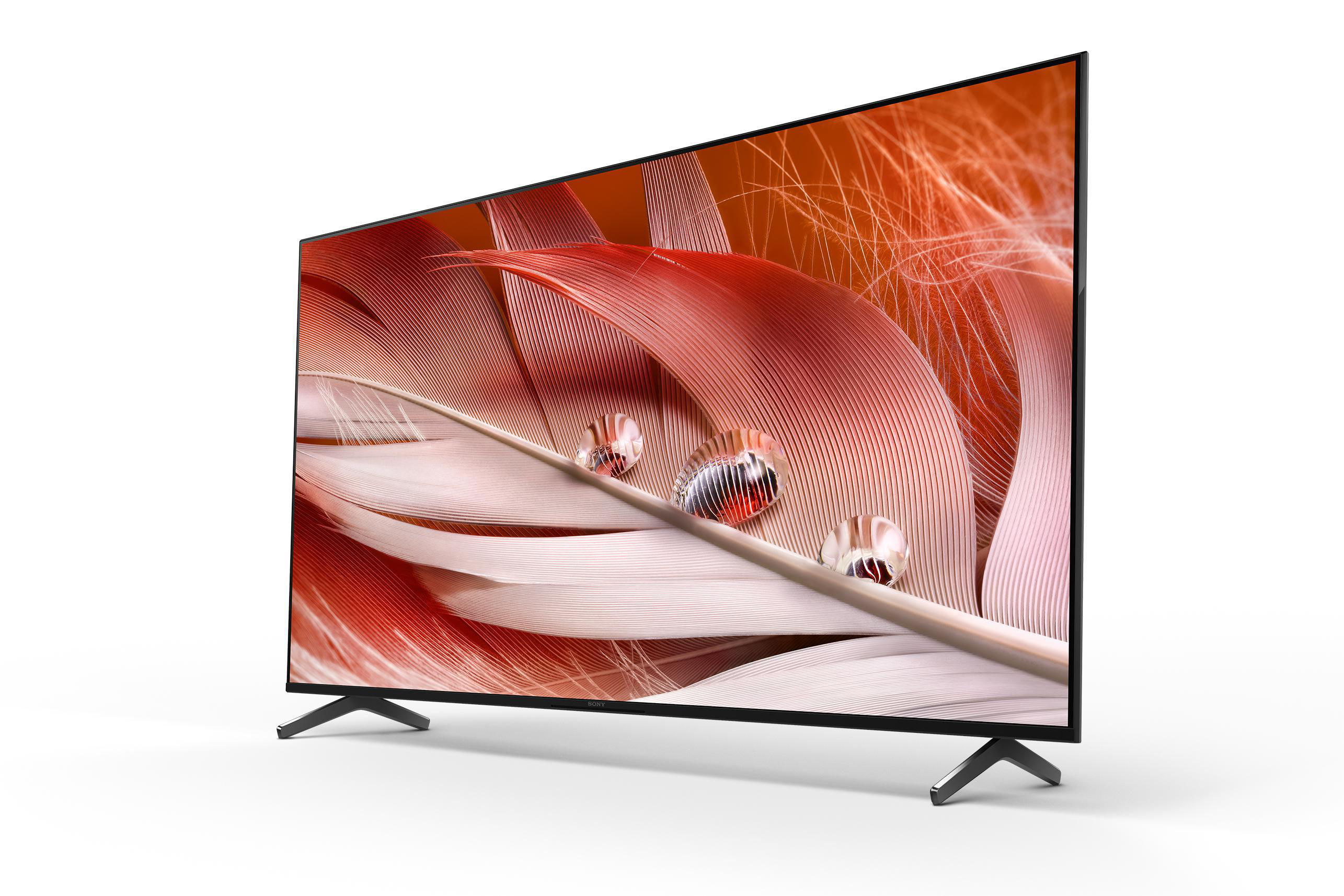 Sony-Fernseher, der ein lebendiges Bild anzeigt. Weißer Hintergrund.