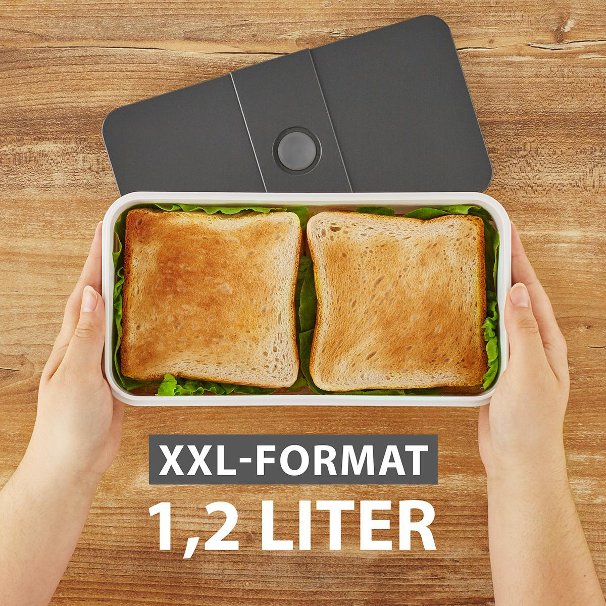 Hände halten eine offene Brotdose mit zwei getoasteten Sandwiches und Salat.