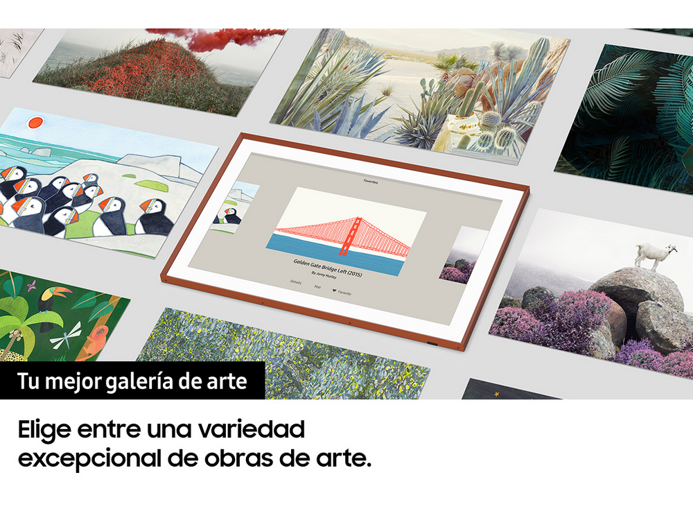 Galería de arte con varias obras enmarcadas expuestas sobre fondo gris claro.