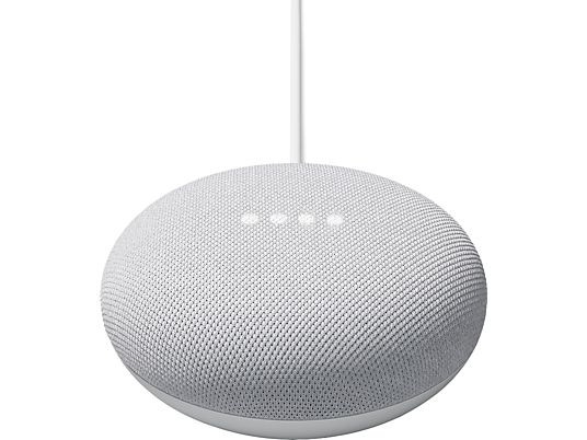 GOOGLE NEST Nest Hello + Google Mini Rock Candy