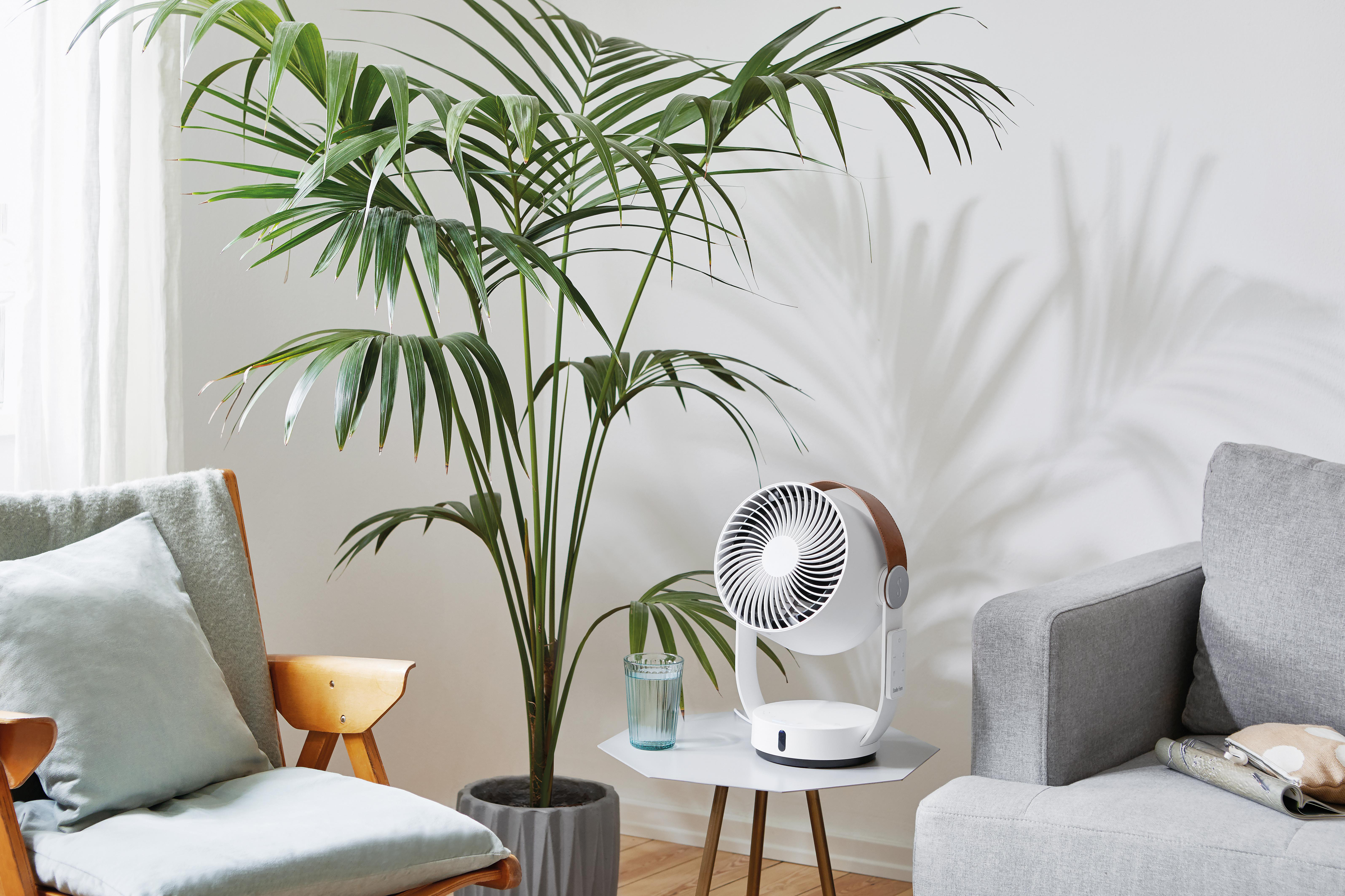 Ein weißer Ventilator auf einem Tisch neben einer großen Pflanze und einer Couch. Sonnenlicht wirft Schatten.