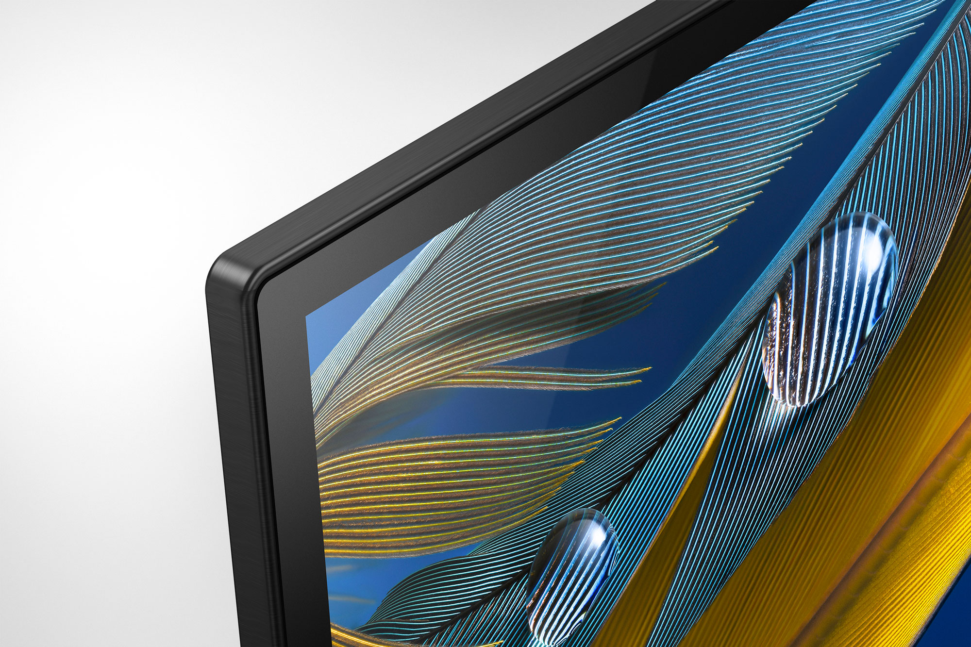 SONY Bravia XR-65A80J (2021)