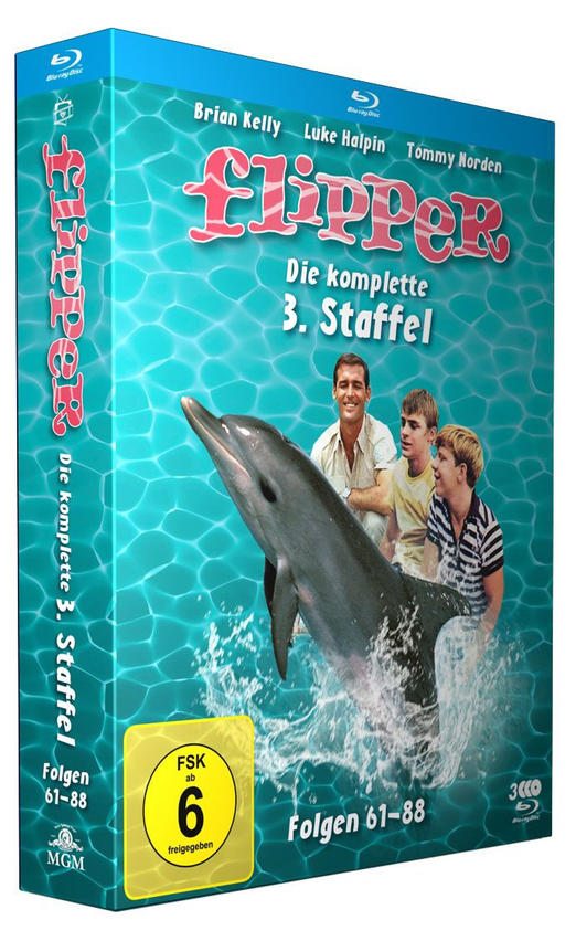 Flipper DVD-Box-Art mit einem aus dem Wasser springenden Delphin und drei Personen.