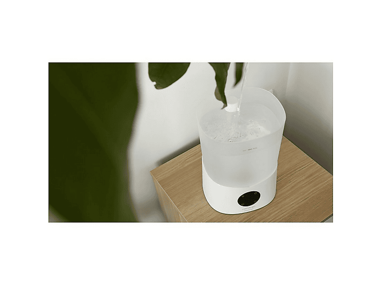Vista 2