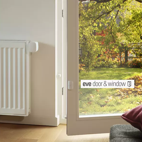 Eine weiße Tür und ein Fenster mit Blick auf Bäume und Blätter. Ein weißer Heizkörper ist sichtbar.