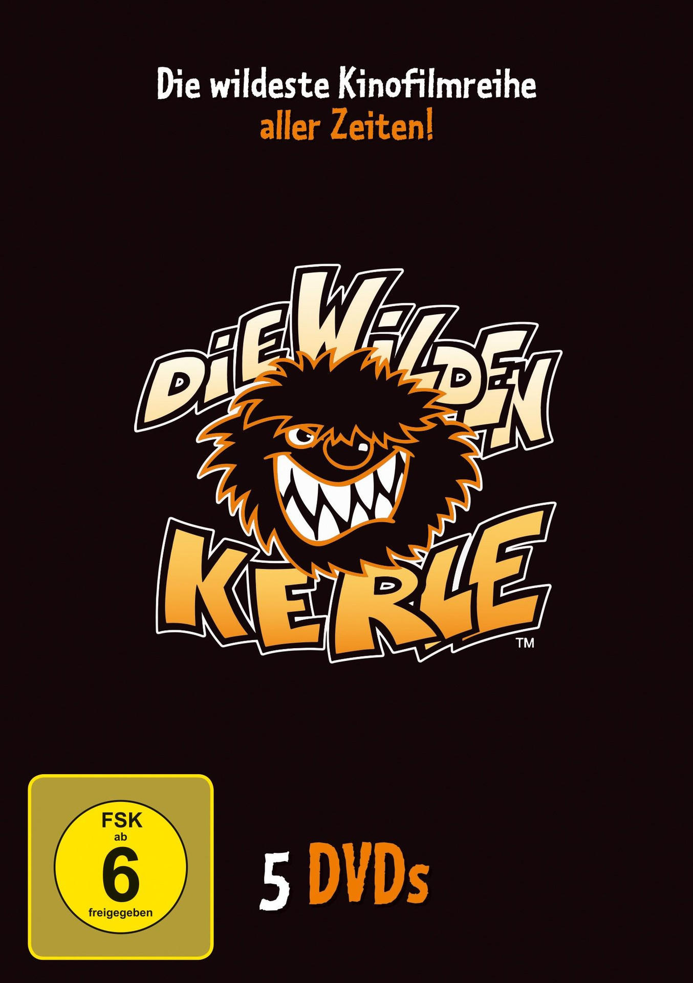 DVD-Hülle mit Cartoon-Logo und dem Text 'Die Wilden Kerle' und '5 DVDs'.