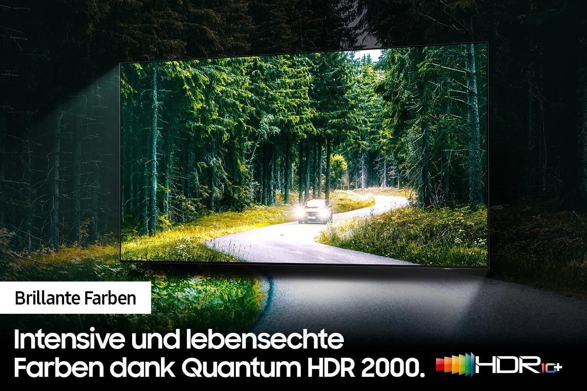 TV-Bildschirm mit Waldstraße, Text über Farben.