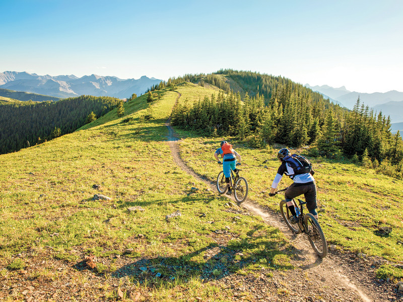 Due ciclisti percorrono sentieri erbosi in mountain bike con vista sulle montagne.